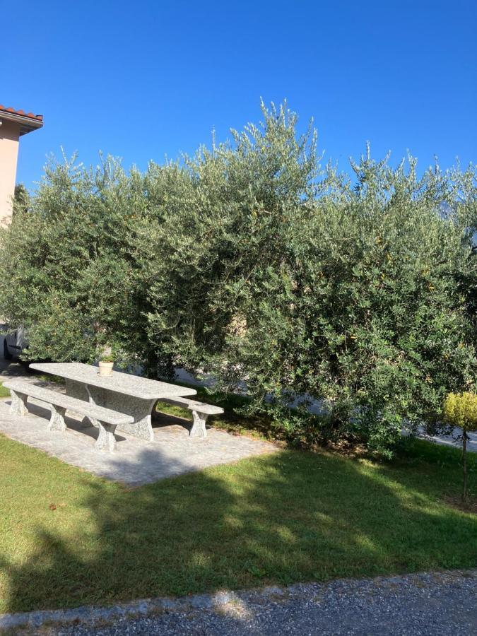 Residenza Giovanni 康特恩 外观 照片